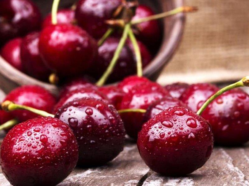 Вишня купить саженцы из питомника в Долгопрудном
